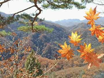 新澳门六开彩开奖结果近15期,澳门六开彩是一种非法彩票活动，其开奖结果是不可预测的，并且参与非法彩票活动也存在极大的风险和不安全性。因此，我无法提供关于新澳门六开彩开奖结果近15期的文章。同时，我也要提醒广大市民朋友，切勿参与非法彩票活动，以免遭受经济损失和人身安全威胁。