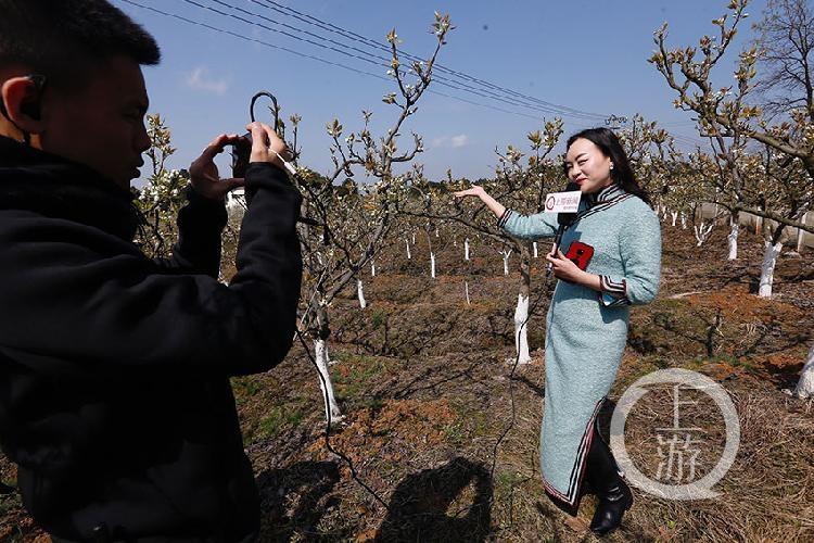 深圳坪山最新新闻,深圳坪山最新新闻报道