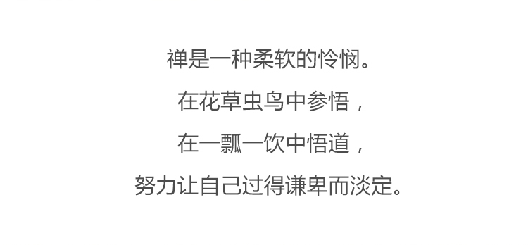 好看的最新高干文,最新高干文，探索权力与情感的交织之美