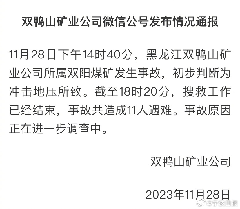 双鸭山事件最新消息,双鸭山事件最新消息全面解析