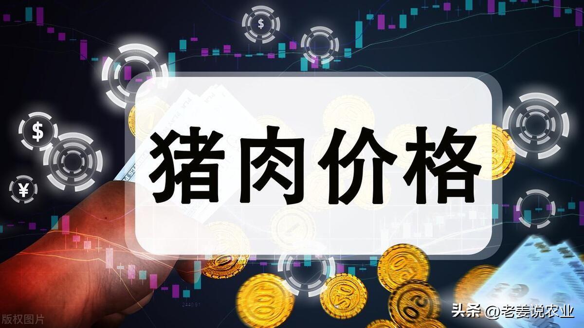 金价格今日最新价2023,金价格今日最新价2023，市场走势与影响因素分析