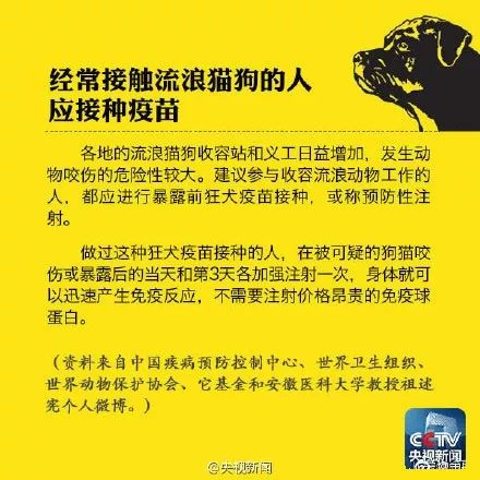 广东最新残疾人招聘,广东最新残疾人招聘，打开机会之门，共创包容未来