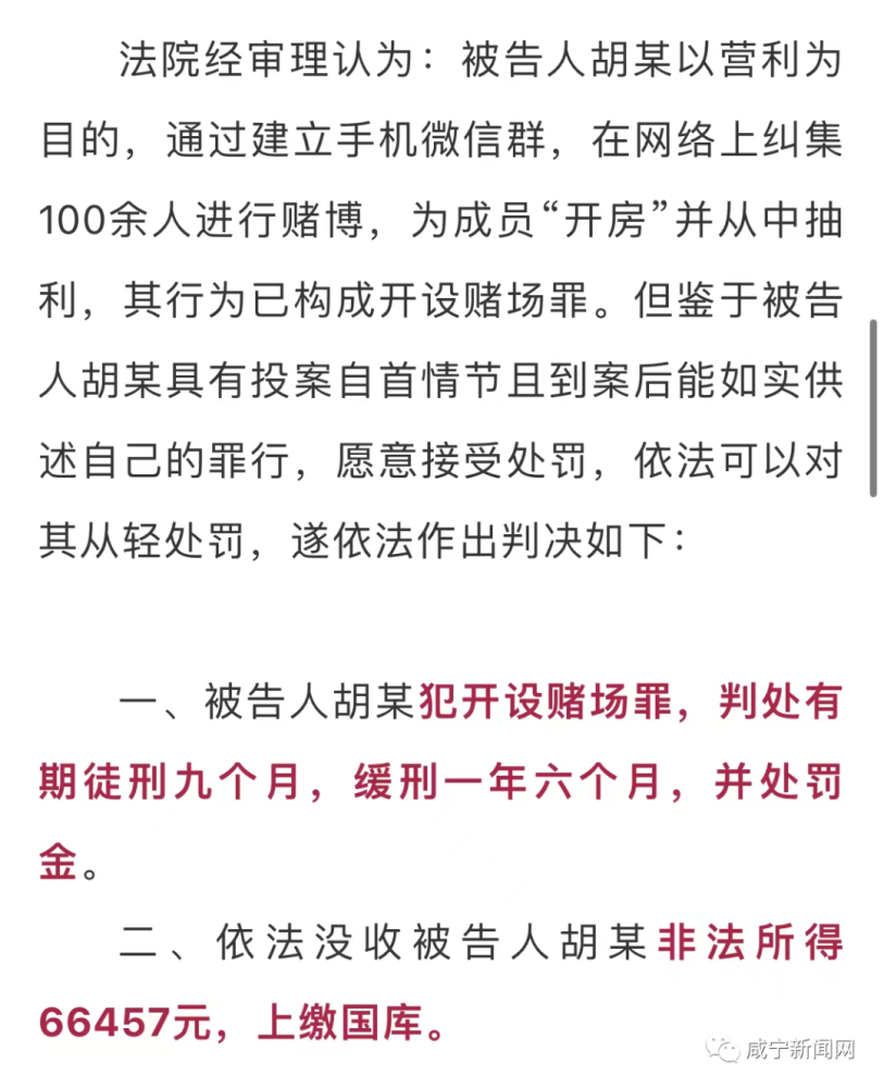 一肖一码一必中一肖,关于一肖一码一必中一肖背后的违法犯罪问题探讨