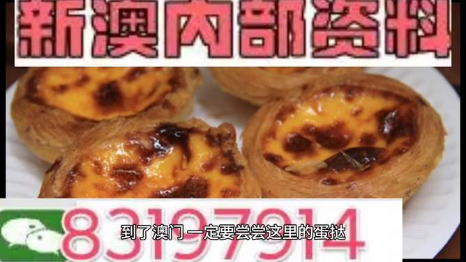 2024澳门精准正版资料大全,关于澳门精准正版资料大全的探讨与警示——警惕违法犯罪风险