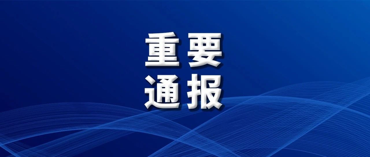 新澳正版资料免费大全,关于新澳正版资料的免费获取及其潜在风险探讨