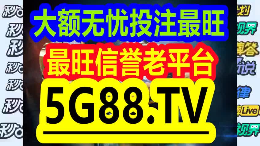 管家婆一码中一肖2024,管家婆一码中一肖2024，揭秘彩票预测背后的神秘面纱