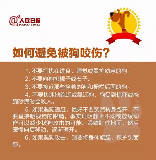 2024澳彩管家婆资料传真,揭秘澳彩管家婆资料传真，洞悉背后的秘密与未来展望