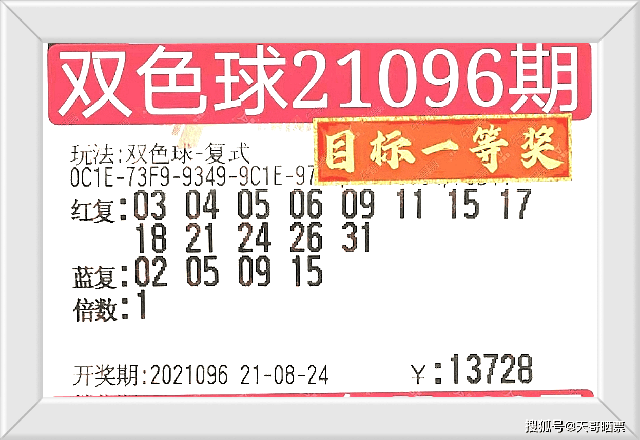 2024新奥今晚开奖号码,揭秘新奥彩票，今晚开奖号码预测与理性购彩建议