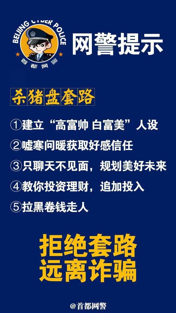 2024新奥门正版资料,关于新奥门正版资料的探讨——警惕违法犯罪风险