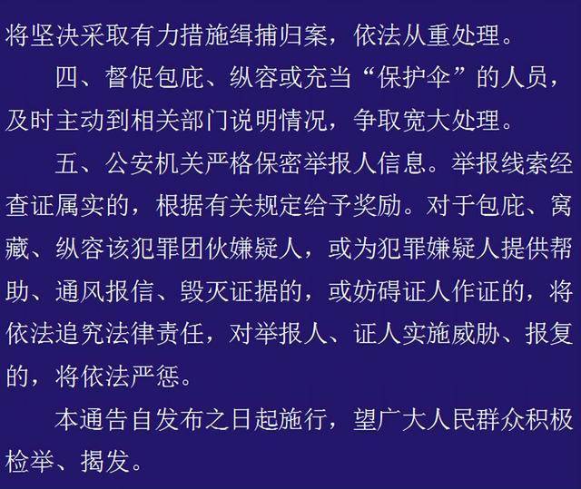 王中王最准100%的资料,关于王中王最准100%的资料的真相揭示与违法犯罪问题探讨