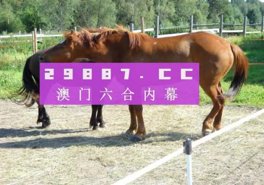 4949澳门特马今晚开奖53期,关于澳门特马今晚开奖的文章内容