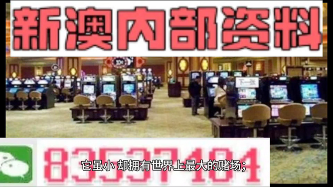 2024新澳精准正版资料,探索未来之门，解析新澳精准正版资料与未来的无限可能（2024年展望）