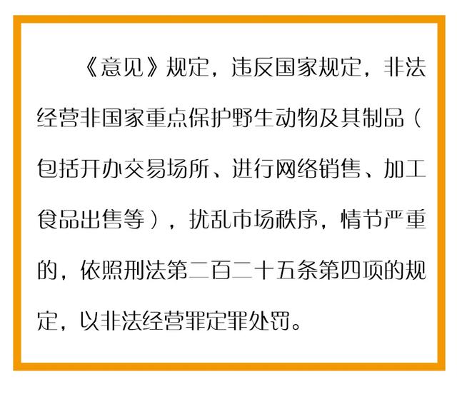 新澳门三期必开一期,关于新澳门三期必开一期与违法犯罪问题的探讨