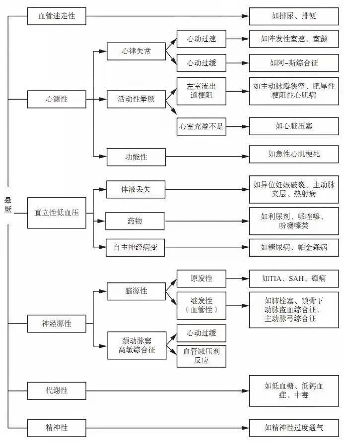 777778888王中王最新,探索数字背后的秘密，揭秘王中王与最新数字组合777778888的独特魅力