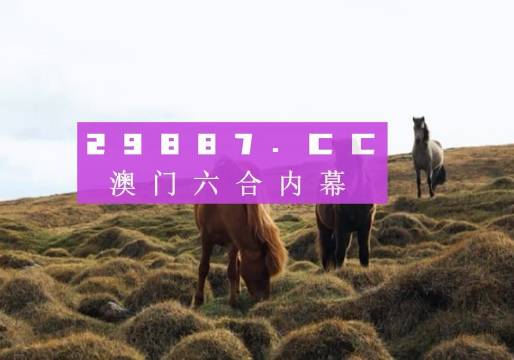 新奥门开奖结果 开奖结果,新澳门开奖结果，探索开奖数据的魅力