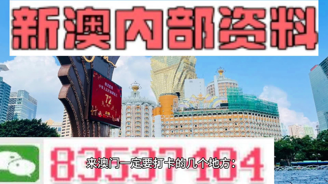 新澳2024正版资料免费公开新澳金牌解密,揭秘新澳金牌，正版资料免费公开与深度解析新澳2024数据战略