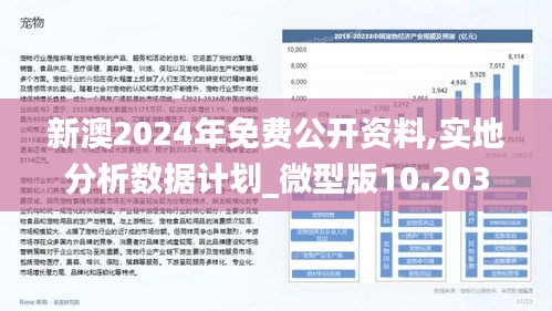 新澳2024年最新版,新澳2024年最新版，时尚潮流引领者与创新先锋