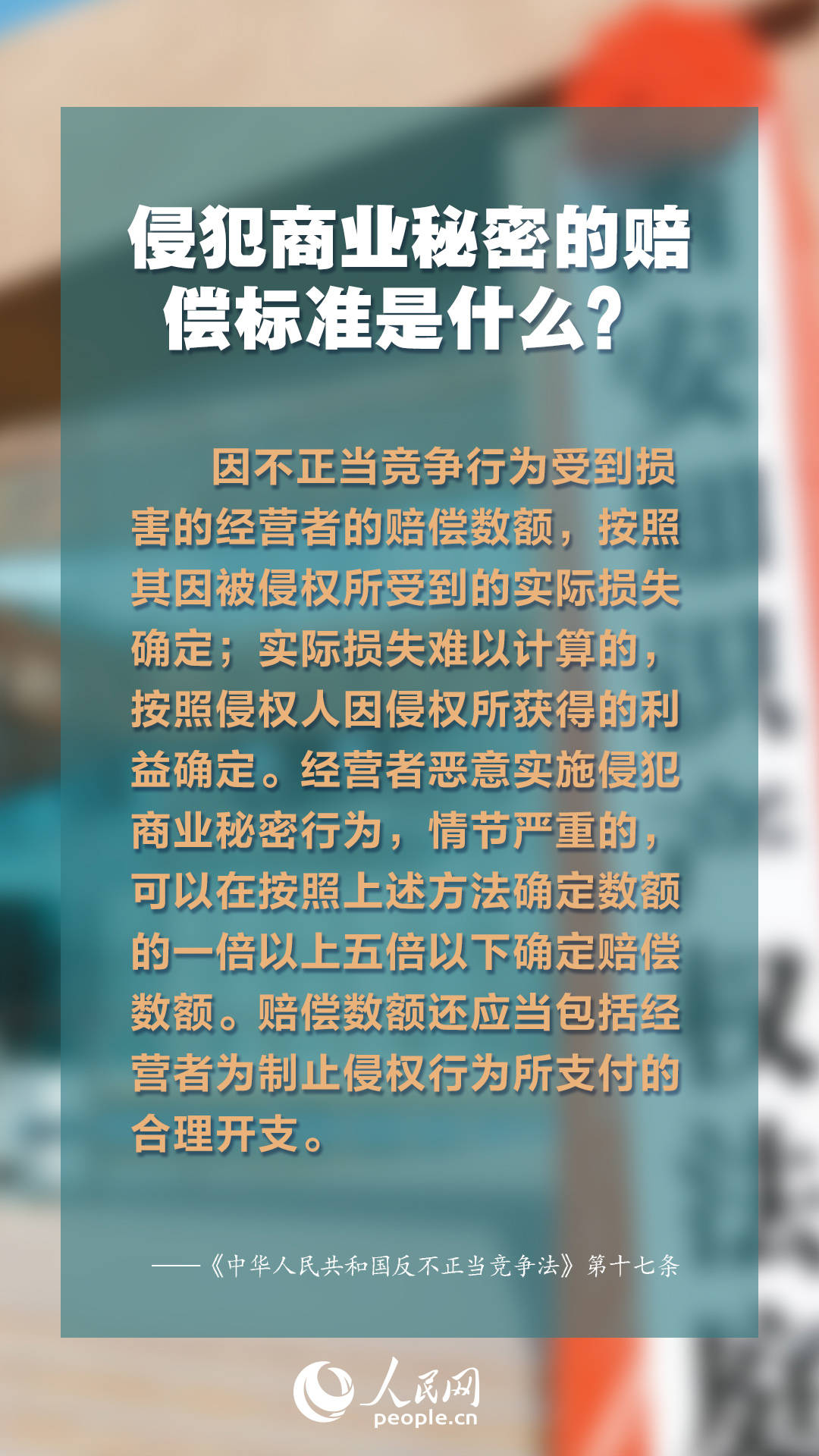 2023年最新资料免费大全,探索知识宝库，2023年最新资料免费大全