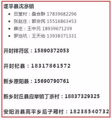 最准一码一肖100开封,探索神秘，最准一码一肖100开封